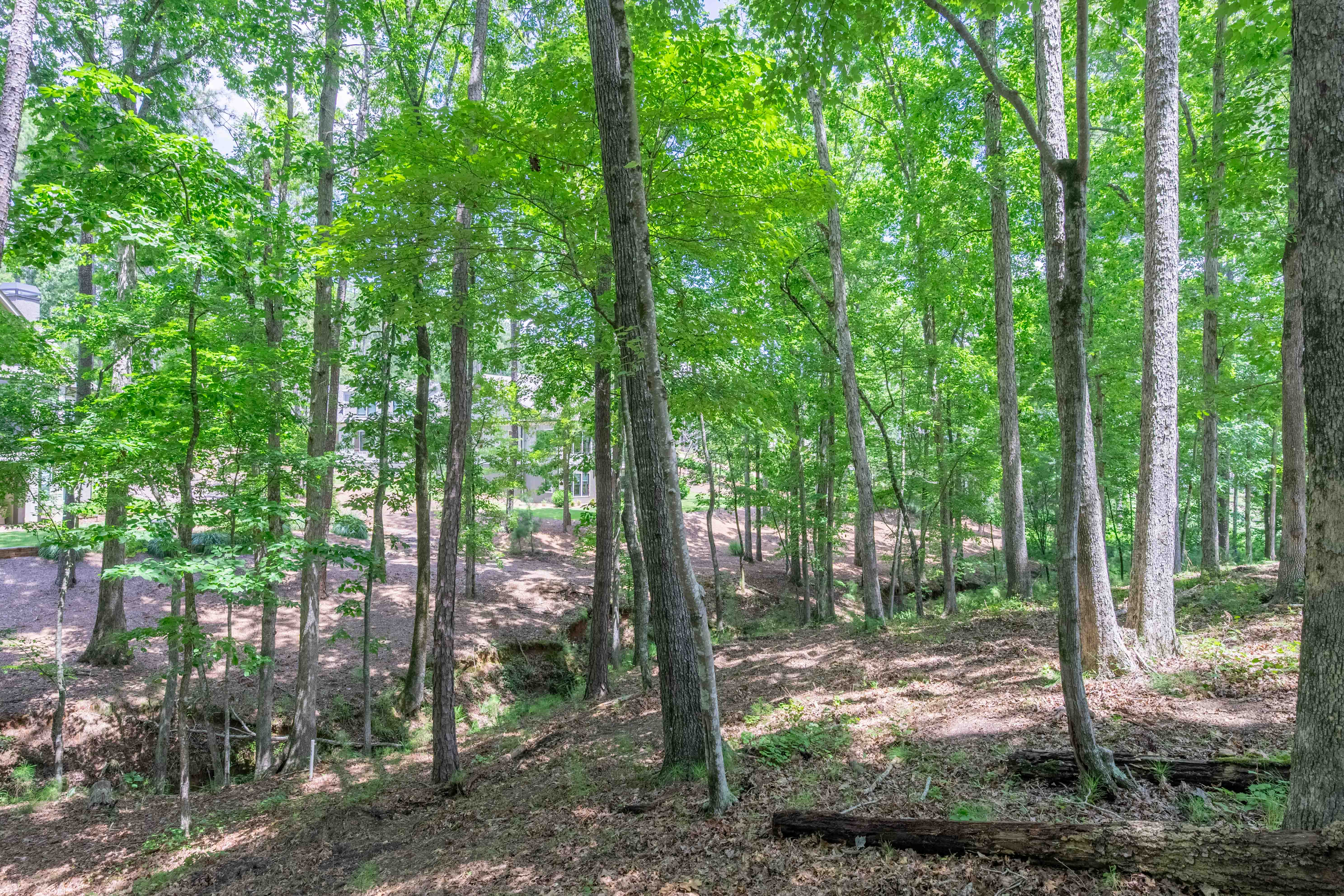 1090 Lumbering Creek image 10